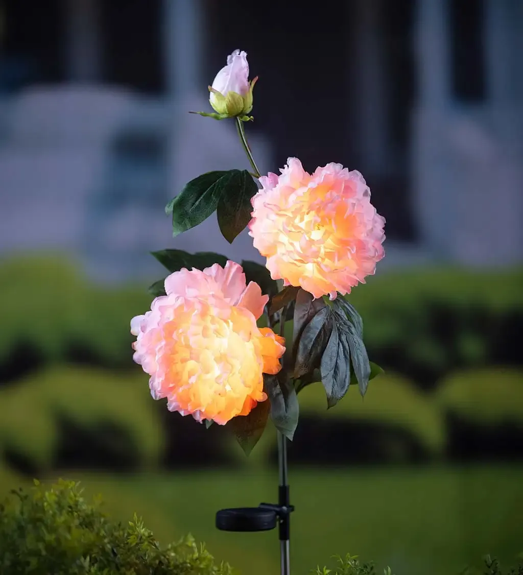 Peony solar lights glowing in a garden at dusk